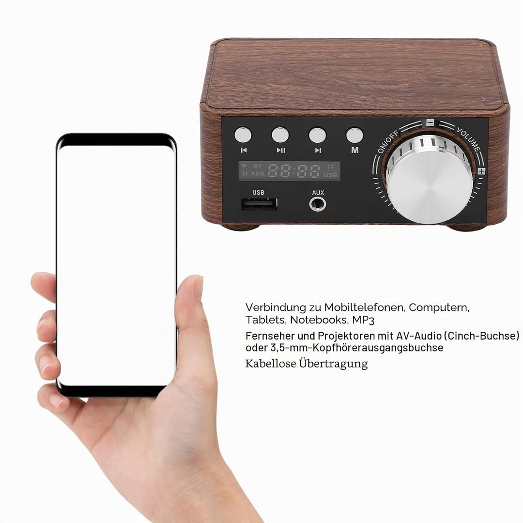 Mini Bluetooth 5.0 Leistungsverstärker DC9V-24V Dual 50W Kanäle 2.0 Stereo HiFi Digital Amp USB Heim