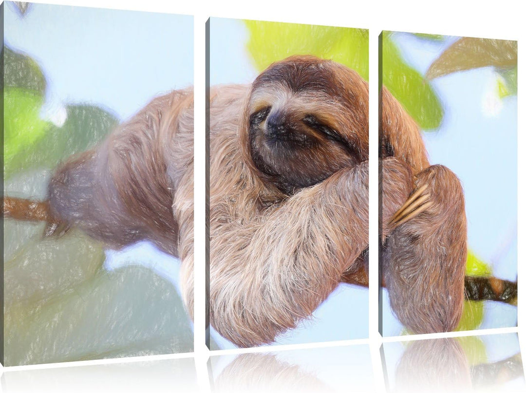 Pixxprint schönes Faultier hängt von AST Kunst Buntstift Effekt 3-Teiler Leinwandbild 120x80 Bild au