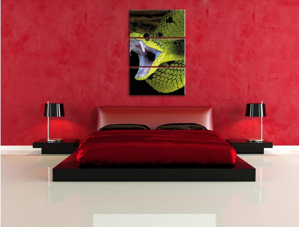 Pixxprint Giftige grüne Schlange als Leinwandbild/Grösse: 3 Teilig (120x80) cm/Wandbild/Kunstdruck/f