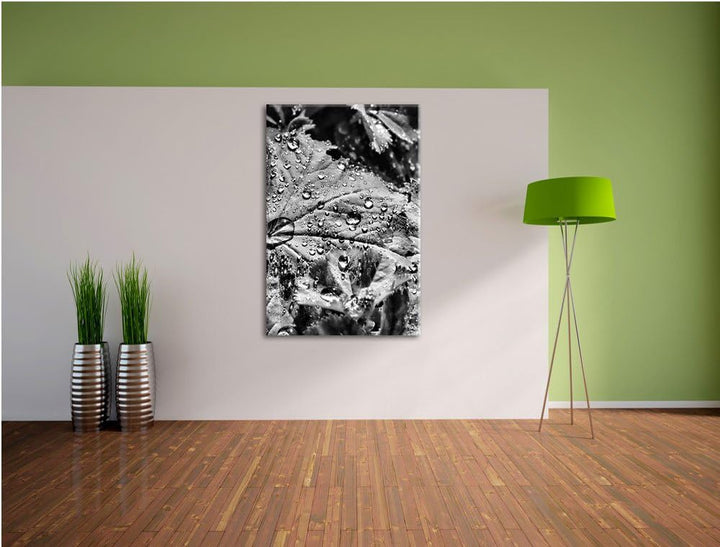 Pixxprint Monocrome, Wassertropfen auf Blatt, Format: 100x70 auf Leinwand, 100x70