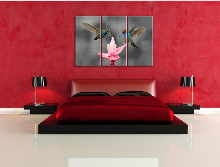 Pixxprint Kolibris in den Tropen als Leinwandbild/Grösse: 3 Teilig (120x80) cm/Wandbild/Kunstdruck/f