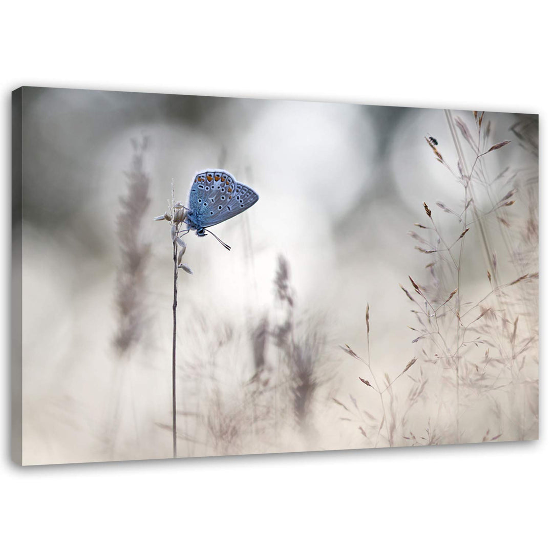 Feeby. Wandbild - 1 Teilig - 50x70 cm, Leinwand Bild Leinwandbilder Bilder Wandbilder Kunstdruck, Sc