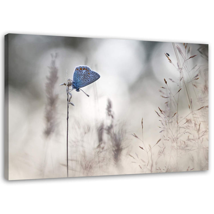 Feeby. Wandbild - 1 Teilig - 50x70 cm, Leinwand Bild Leinwandbilder Bilder Wandbilder Kunstdruck, Sc