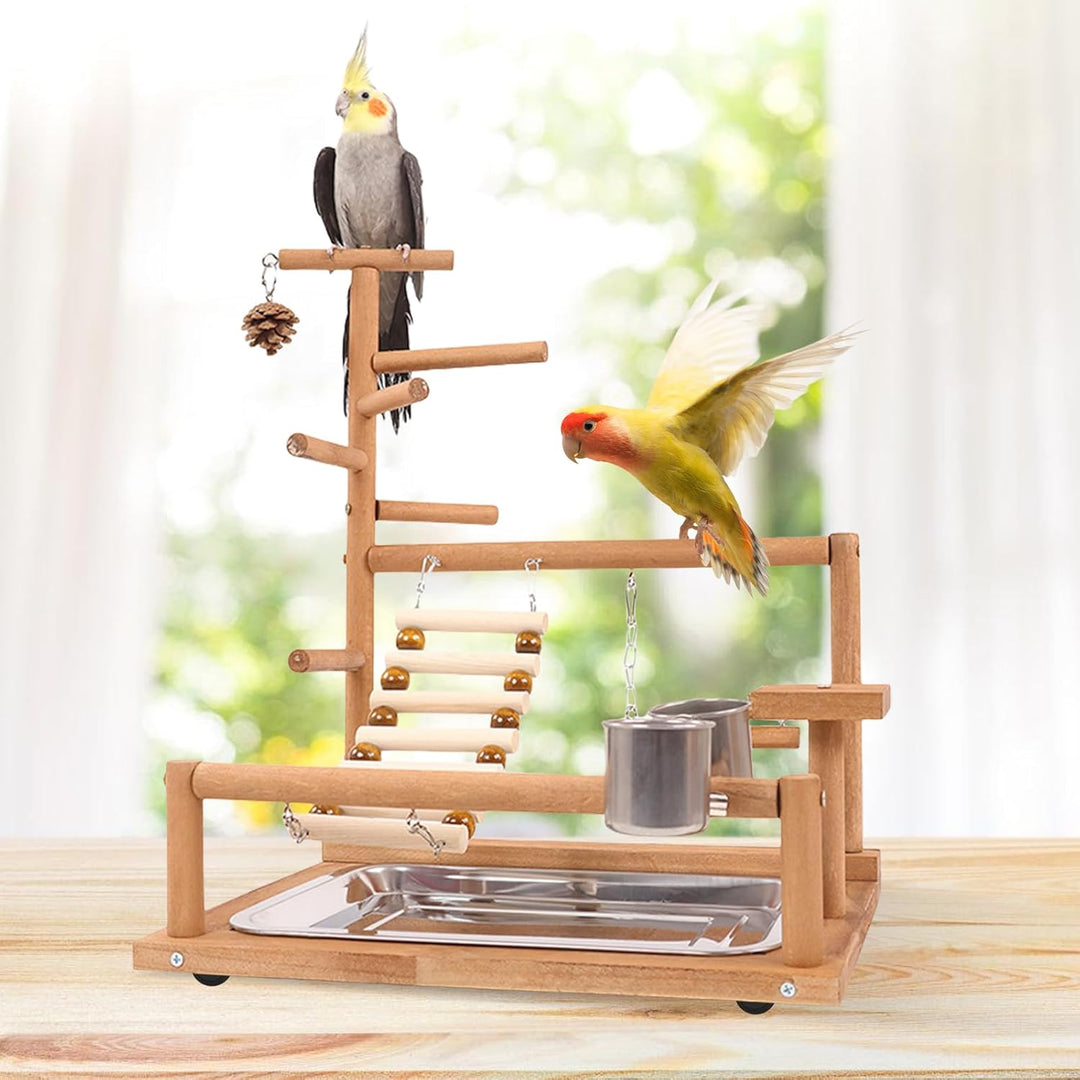 Vogelspielzeug, Papageienspielzeug, Wellensittich Spielzeug, Spielplatz Mit Feeder-Cup Spielzeug Lei