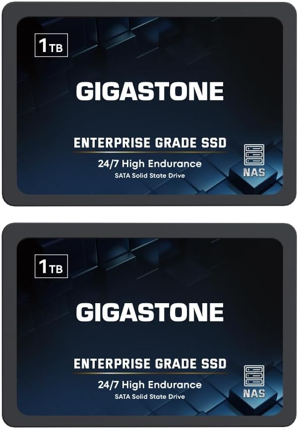 Gigastone NAS SSD 1TB Enterprise SSD Festplatte (2er-Pack) TLC Hohe Dauerhaltbarkeit Server SSD für