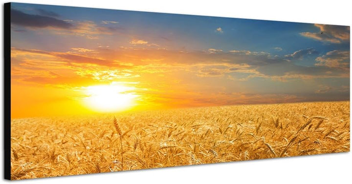 Paul Sinus Art Panoramabild auf Leinwand und Keilrahmen 120x40cm Kornfeld Herbst Sonnenuntergang