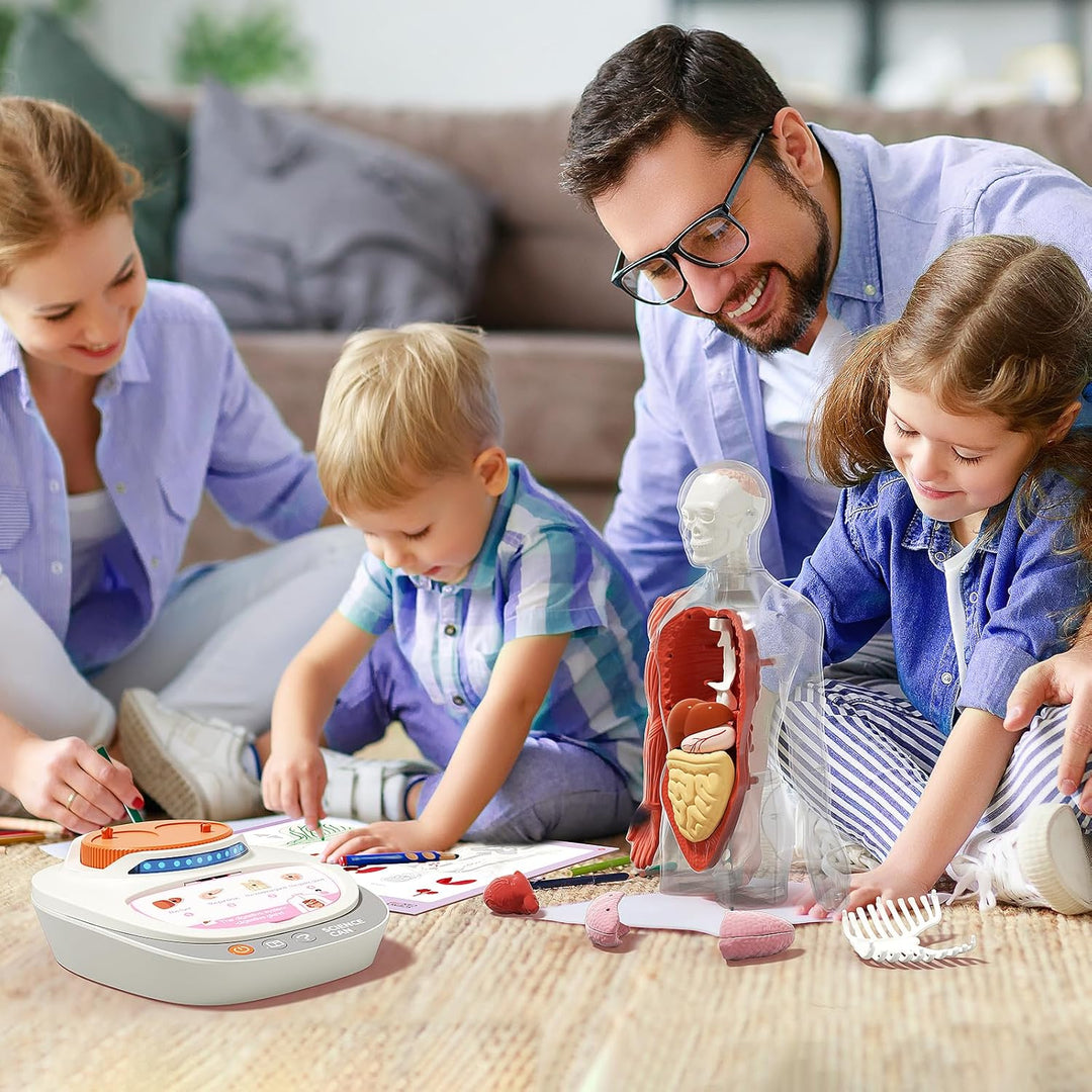Science Can Anatomiemodell für Kinder, Menschliche Körper Set, Interaktive Spielzeug - Englisch, 22c