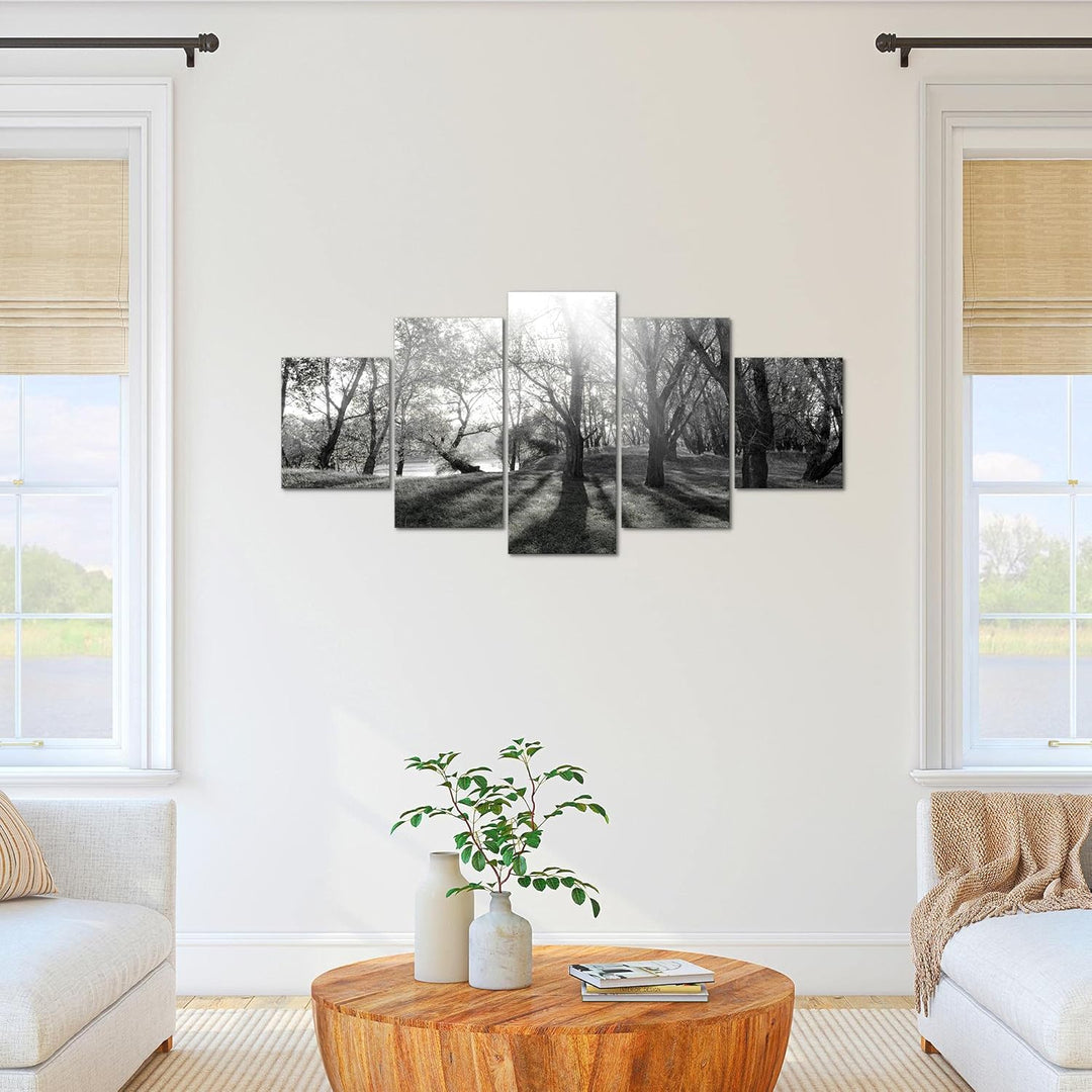 Runa Art Bild Schlafzimmer Wohnzimmer Wald Landschaft 5 Teilig Sonne Schwarz Weiss Wandbilder auf Vl