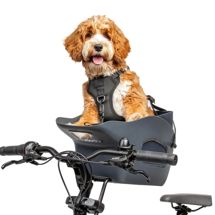 Dog Bike Carrier (Midnight Gray, M) Midnight Gray M, Midnight Gray M
