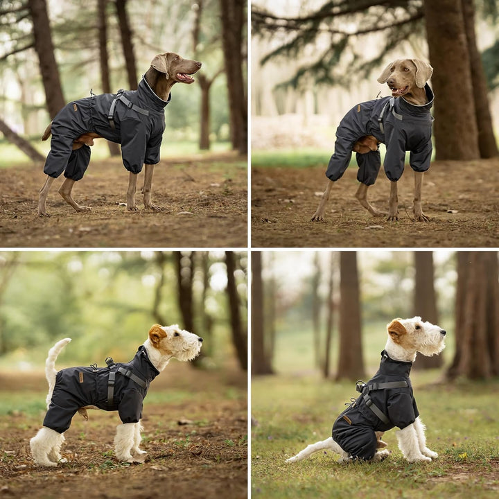 Regenmantel Hund mit Geschirr Wasserdicht für Kleine, Mittlere und Grosse Hunde, Reflektierender Reg