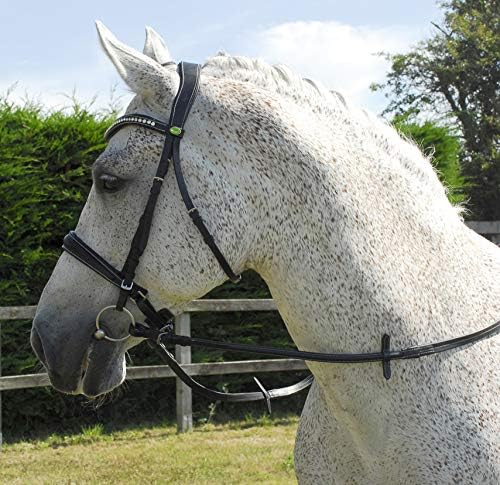 Rhinegold Italienisches Leder Anatomisches Pferd Trensenzaum mit Kappzaum Reithalfter Havana Cob, Ha