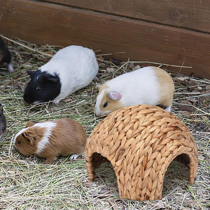 Meerschweinchenhaus 2.5 X 2.5 X 1.8 cm Kaninchennest Natürliches Kaninchen-Rohrkolben-Hausmatte Hand