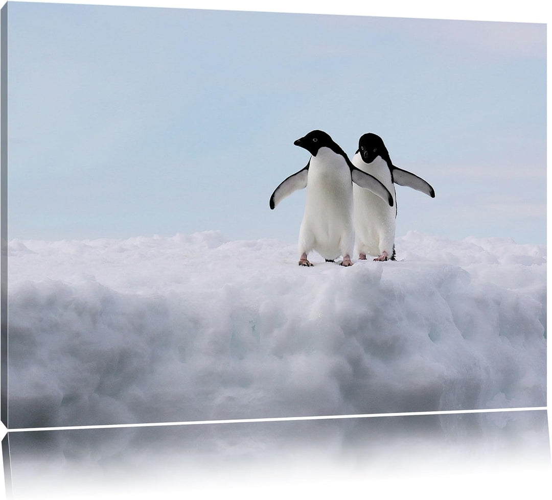 zwei kleine Adeliepinguine auf Eisscholle Leinwand, XXL riesige Bilder fertig gerahmt mit Keilrahmen