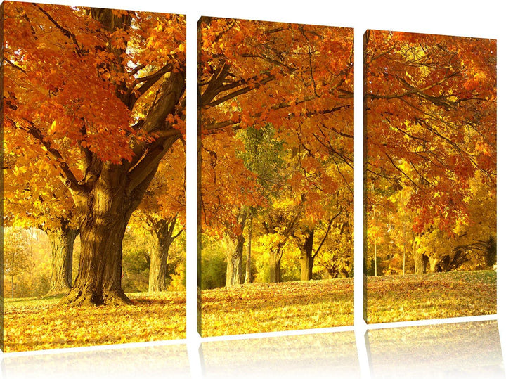 Pixxprint schöne Herbstlandschaft als Leinwandbild/Grösse: 3 Teilig (120x80) / Wandbild/Kunstdruck/f
