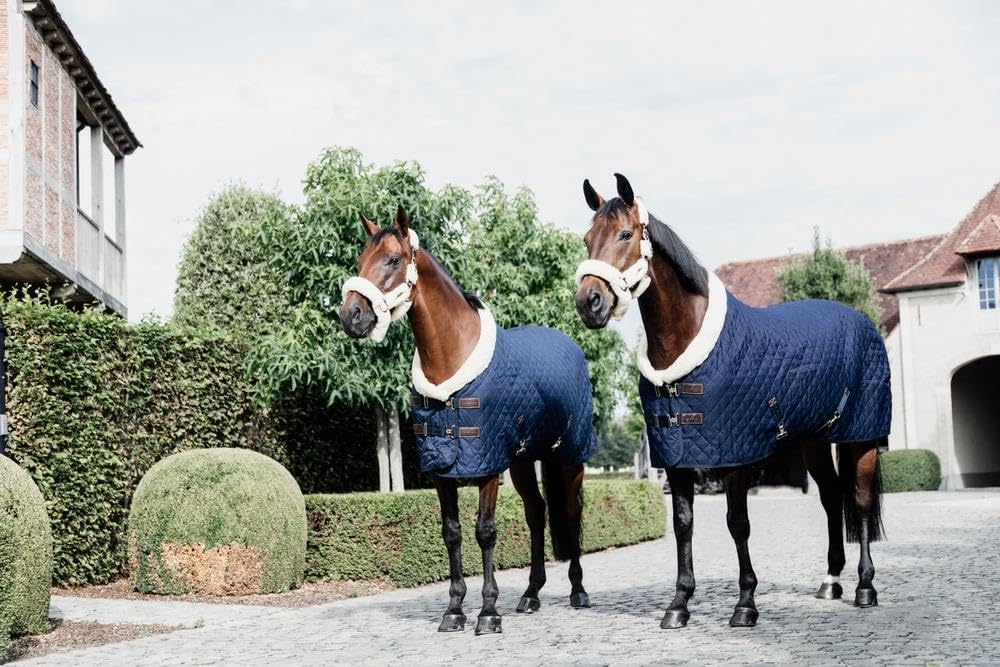 KENTUCKY HORSEWEAR Pferdedecke aus hochfestem Polyesterstoff – Stalldecke mit abnehmbaren Bauchgurte