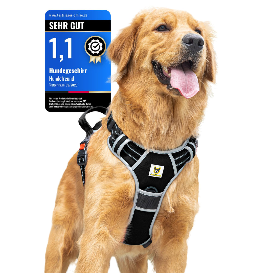 Hundefreund Hundegeschirr für Kleine Hunde – Reflektierend, Gepolstert &amp; Verstellbar – Anti-Zug Gesc