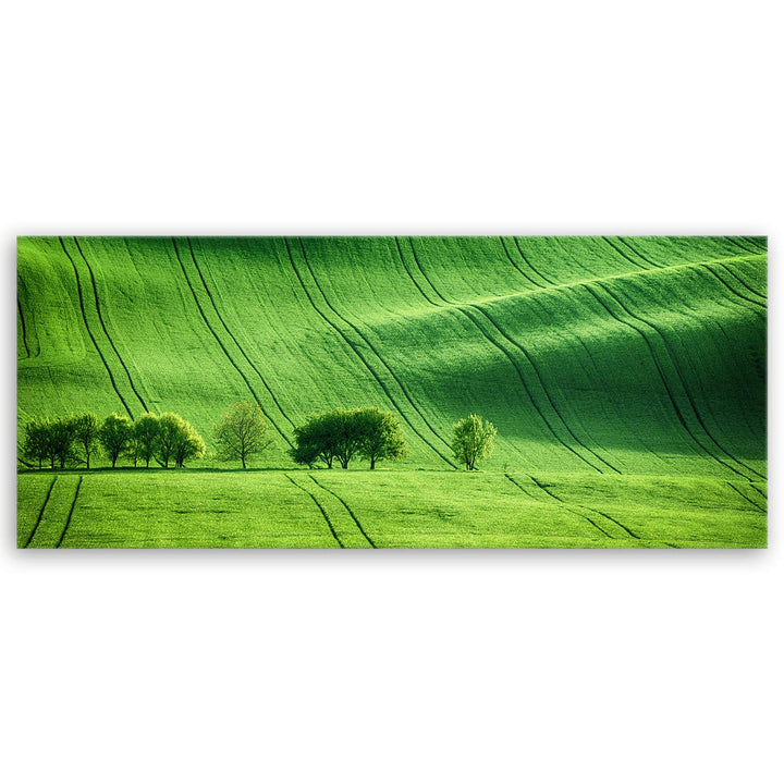 ge Bildet Bild auf Leinwand | Landschaftsbilder - green landscape - Tschechische Republik O in 100x4