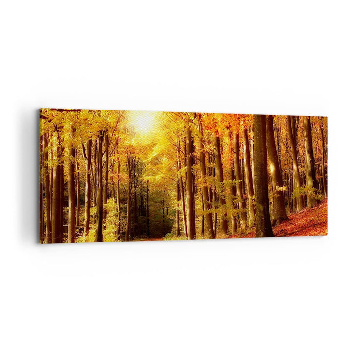 Wandbilder Dekoration Wohnzimmer Pfad Blätter Wald Panorama Bilder auf Leinwand 120x50cm Leinwandbil