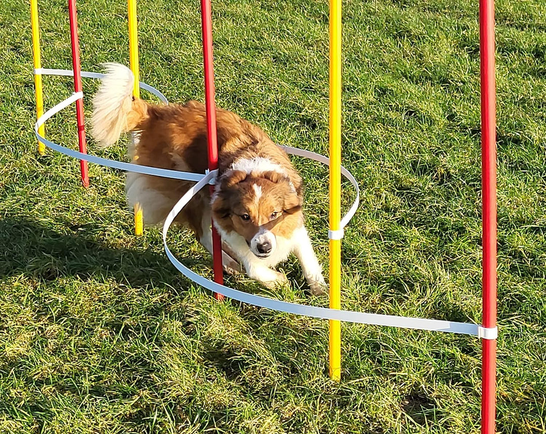 Wuzzmann Agility - Slalom - AUSBILDUNGSSET MIT 4 SLALOMBÖGEN/TRAININGSBÖGEN + 6 SLALOMSTANGEN ROT/GE