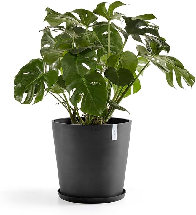 ECOPOTS Blumentopf Amsterdam Dunkel Grau - Durchmesser Ø 50 cm rund gross - Pflanzentopf aus Recycli