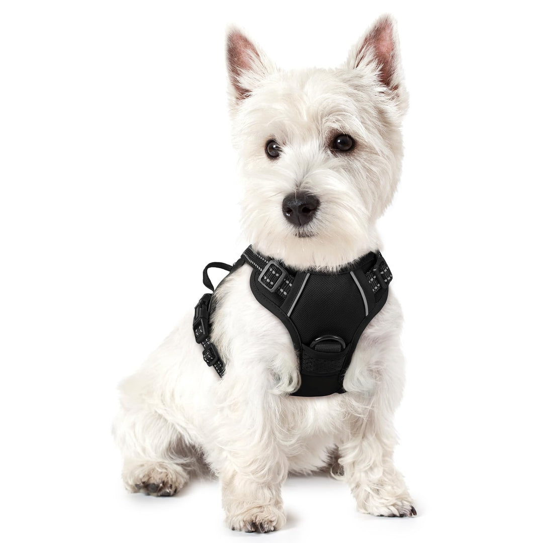 rabbitgoo Hundegeschirr Kleine Hunde, Anti Zug Geschirr mit Kontrolle, No Pull Verstellbar Hundegesc