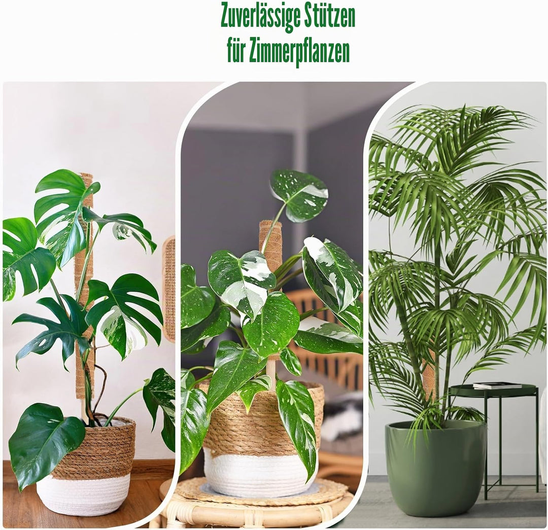 4 Stück Moosstab für Monstera, 40cm Monstera Rankhilfe mit Pflanzen Zubehör, VerläNgerbar Up To160cm