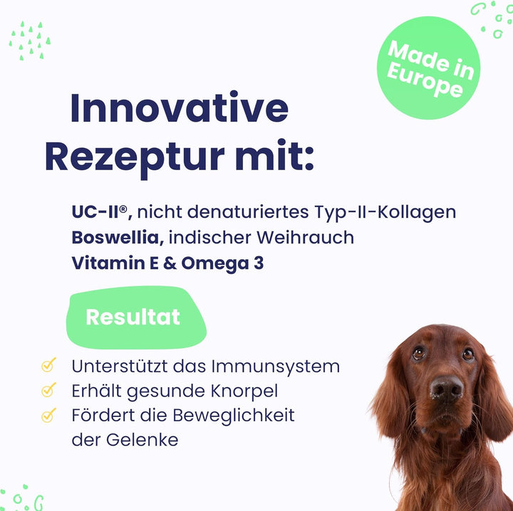 Vetoquinol Flexadin Advanced für Hunde - Doppelpack - 2 x 60 Chews