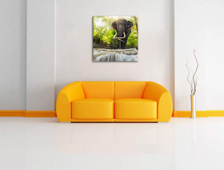 Pixxprint Elefant am Bach, Format: 70x70 auf Leinwand, XXL riesige Bilder fertig gerahmt mit Keilrah