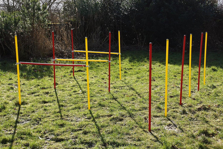 Agility-Set für Hunde - Rot/Gelb - Übungs-Hürden/Slalom-Stangen-Set - Ohne Werkzeug auf/abzubauen -