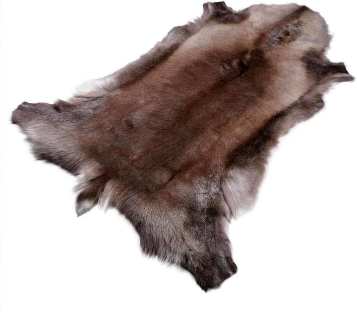 Rentierfell original aus Skandinavien, Premium Qualität, dunkel, XL 140-145 cm XL (140-145 cm), XL (