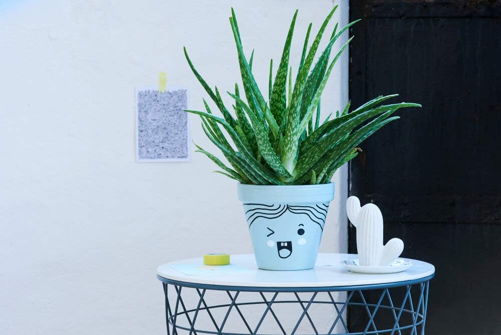 edding 750 Glanzlackmarker Set - mehrfarbig - 10 bunte Lackmarker - Rundspitze 2-4 mm - Lackstift fü