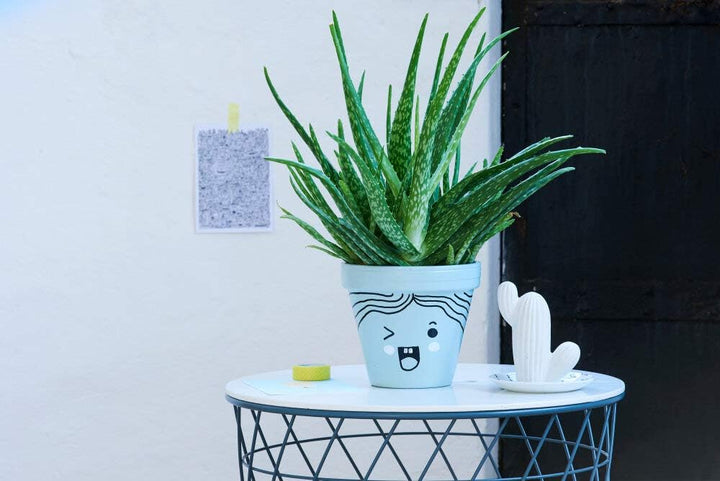 edding 750 Glanzlackmarker Set - mehrfarbig - 10 bunte Lackmarker - Rundspitze 2-4 mm - Lackstift fü