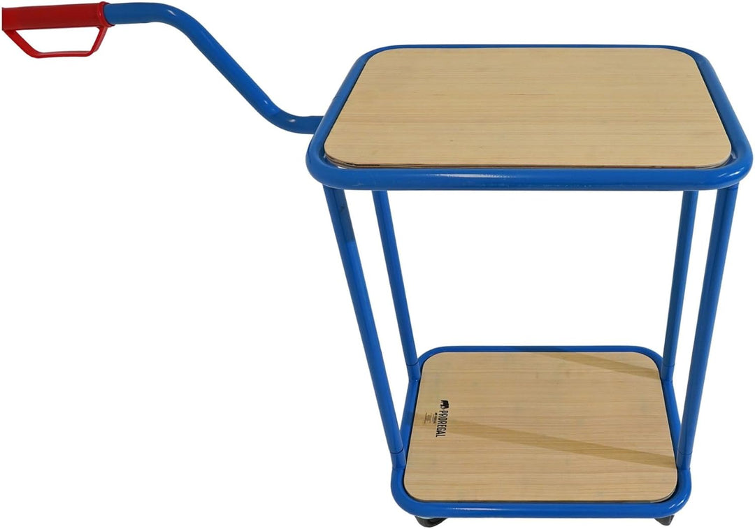 PROREGAL Profi Griffroller 2 Ebenen 102x50x60 cm Traglast 250kg Transportroller mit Griff 2X Lenkrol