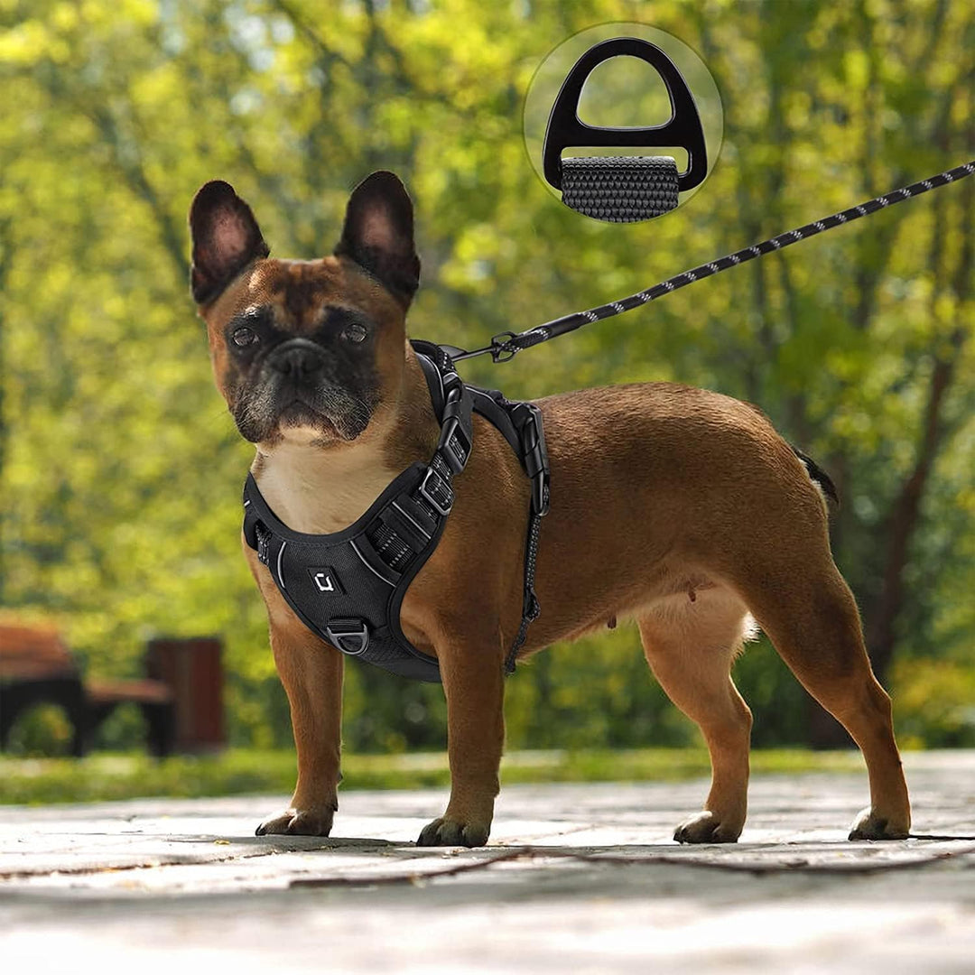 No-Pull Hundegeschirr, Brustgeschirr für kleine bis mittelgrosse Hunde, Weich, Atmungsaktiv, Einstel