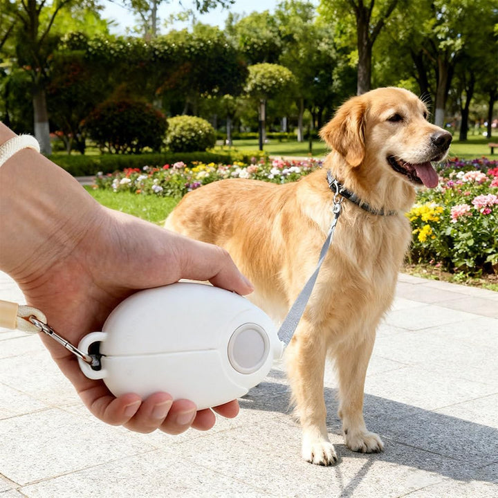 Mini Einziehbare Hundeleine, 3 Meter Lange, Robuste Haustierleine mit 360° Drehbarem Haken und LED-L