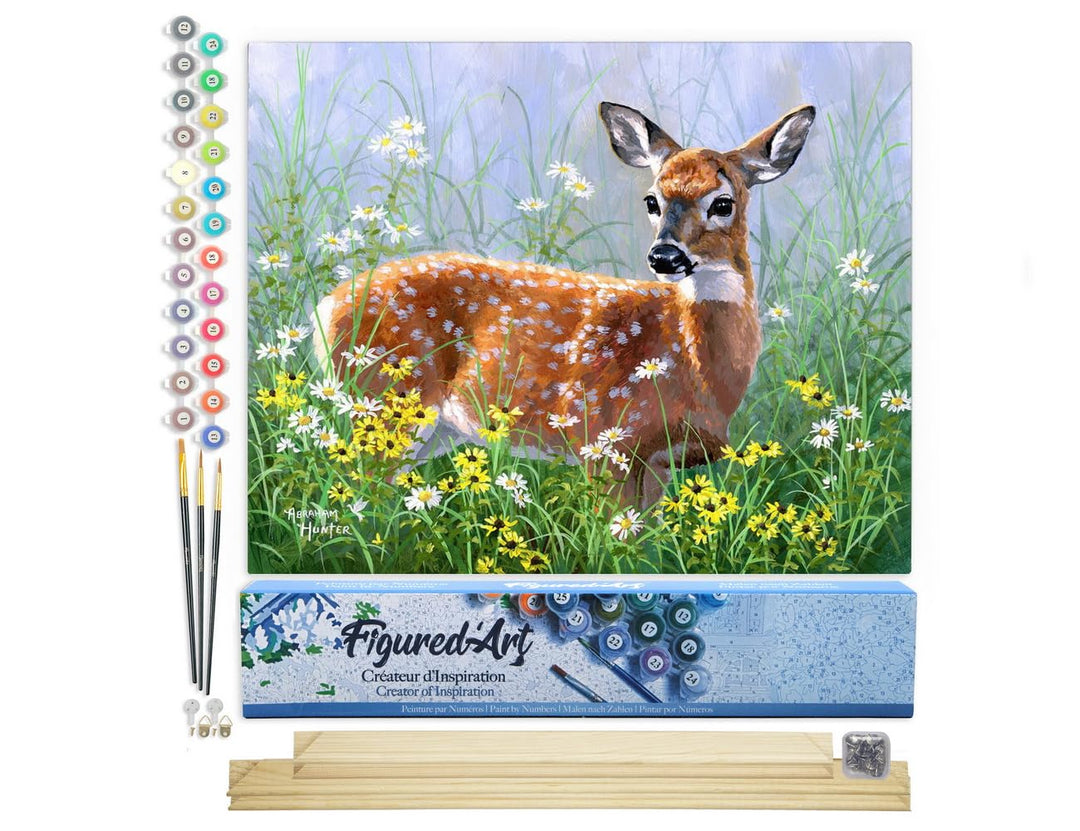 Figured'Art Malen Nach Zahlen Erwachsene Mit Rahmen Reh auf der Wiese - Paint by Numbers Basteln DIY