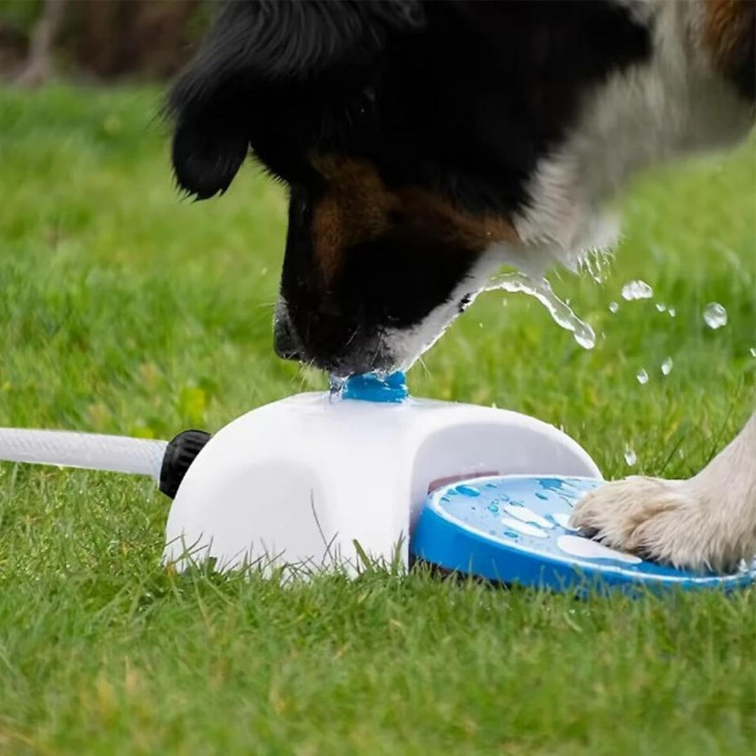 Wasserfontäne Hund, Wasserspiel Mit 162cm Schlauch, Interaktives Spielzeug