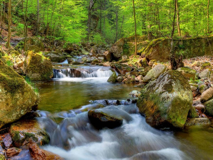 CALVENDO Puzzle Ilsetal bei Ilsenburg 1000 Teile Lege-Grösse 64 x 48 cm Foto-Puzzle Bild von Steffen