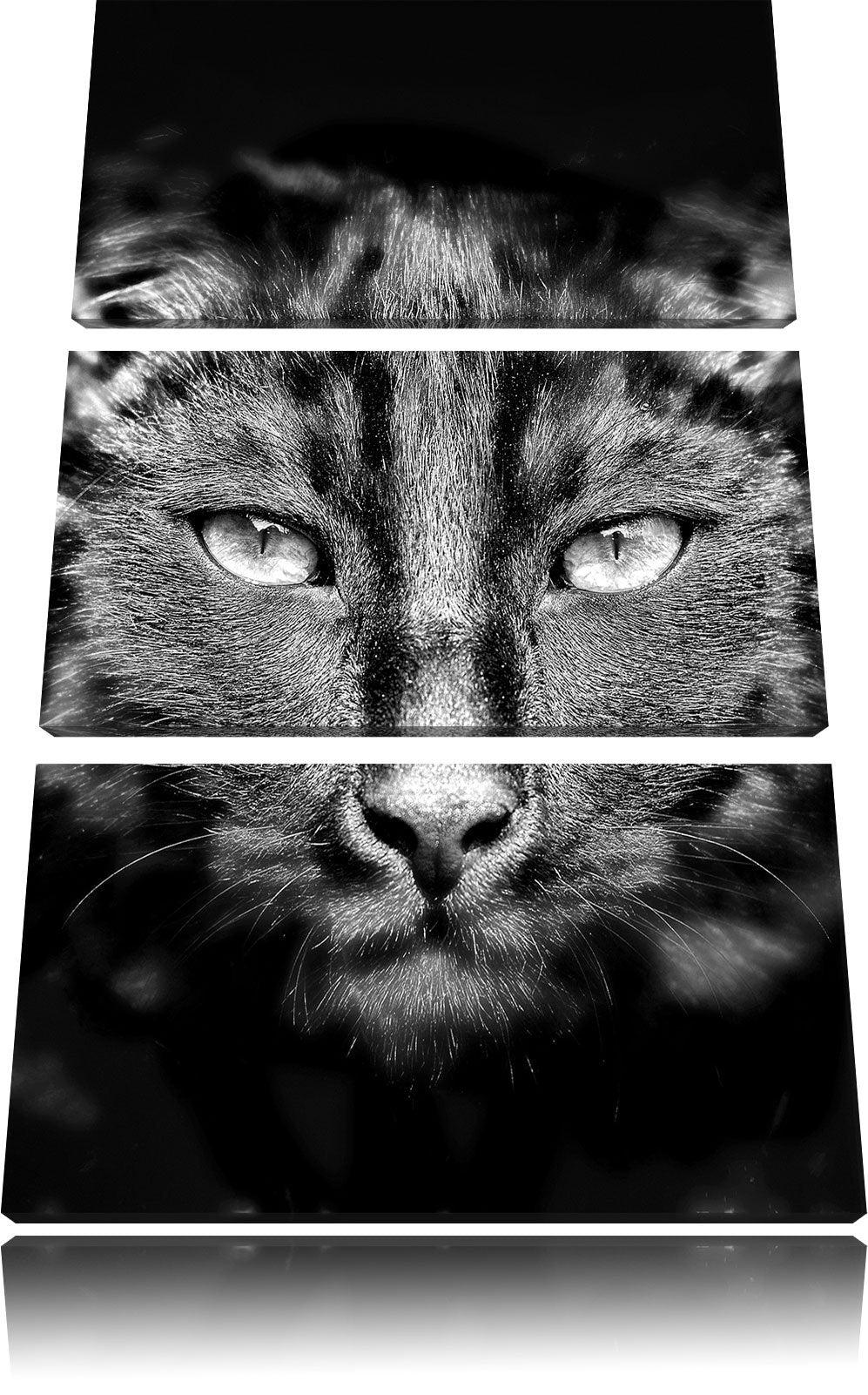 Pixxprint Monocrome, Dark schwarzes Katzengesicht 3-Teiler Leinwandbild 120x80 Bild auf Leinwand
