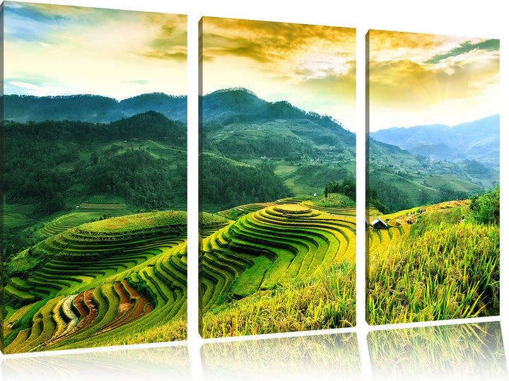 Pixxprint Reisfelder in Vietnam als Leinwandbild | Grösse: 3 Teilig (120x80) | Wandbild| Kunstdruck