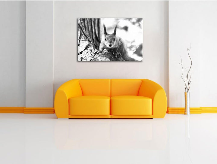 Pixxprint Eichhörnchen auf dem Baum / 100x70cm Leinwandbild bespannt auf Holzrahmen/Wandbild Kunstdr