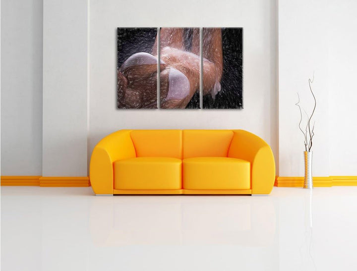 Pixxprint Frau im Bikini unter Einer Dusche als Leinwandbild/Grösse: 3 Teilig (120x80) cm/Wandbild/K