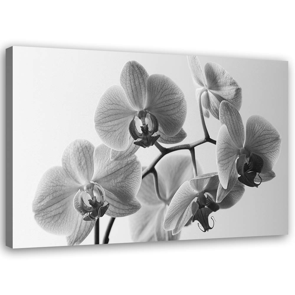 Feeby Leinwandbild Orchideen Bild Kunstdruck für Schlafzimmer Grau 70x50 cm Leinwandbild 70x50 cm Gr
