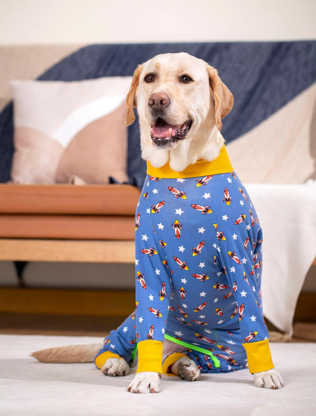 BT Bear Grosse Hundekleidung, elastischer Haustier-Einteiler, schützt Gelenke, Anti-Haare, Anti-Leck