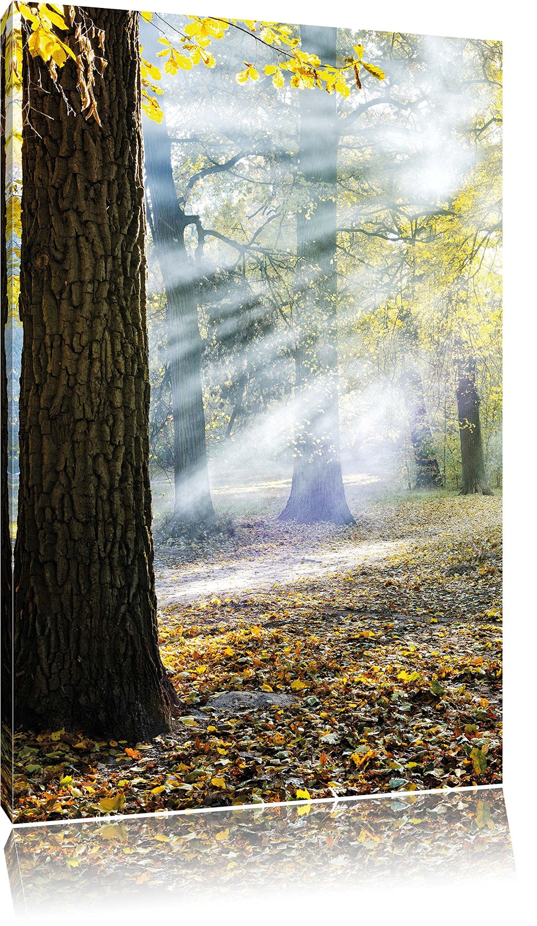 Sonnenstrahlen im Wald, Format: 100x70 auf Leinwand, XXL riesige Bilder fertig gerahmt mit Keilrahme