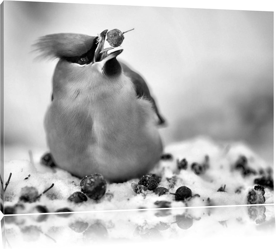 Pixxprint Kleiner Vogel im Schnee / 100x70cm Leinwandbild bespannt auf Holzrahmen/Wandbild Kunstdruc