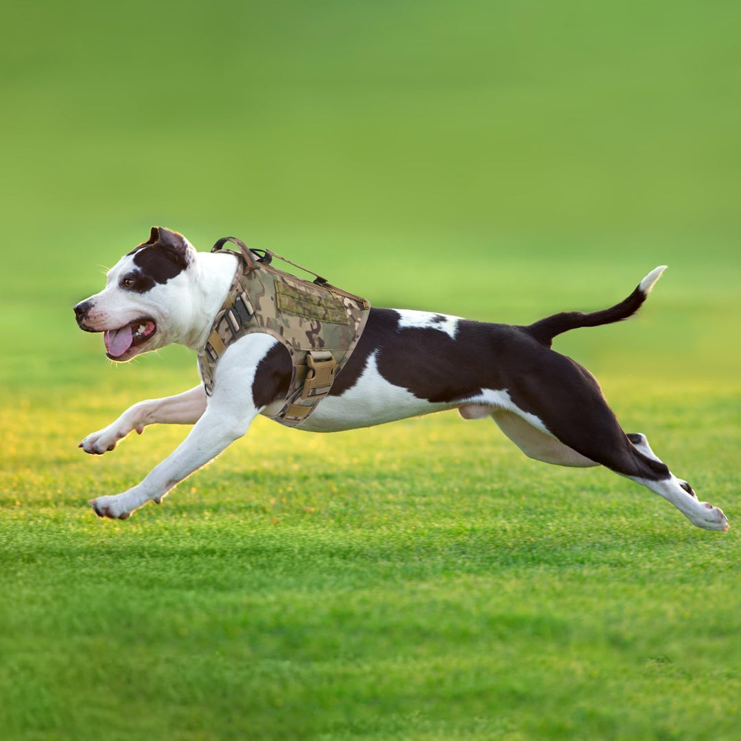 AIWAI Taktisches Hundegeschirr für mittlere und grosse Rassen, Molle-Panels Metallschnalle, Weste mi