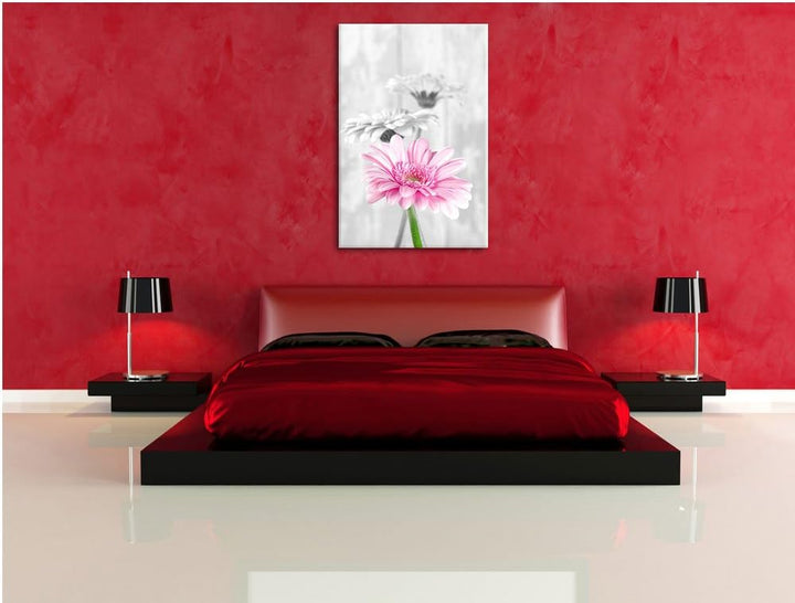 schöne Gerberas bei Tageslicht schwarz/weiss Format: 100x70 auf Leinwand, XXL riesige Bilder fertig