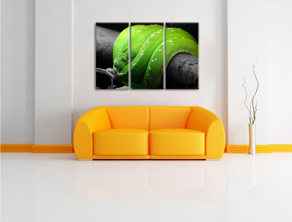Pixxprint Grüne exotische Schlange als Leinwandbild/Grösse: 3 Teilig (120x80 cm) cm/Wandbild/Kunstdr