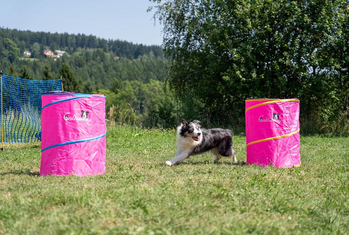 Callieway Hoopers Agility Barrel – Tonne/Fass für Hundetraining (Doppelpack, Blau) | Leicht, stabil